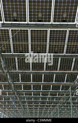 Solare fotovoltaico serra, Merlino Azienda Agricola San Maurizio, Merlino, provincia di Lodi, Italia Foto Stock