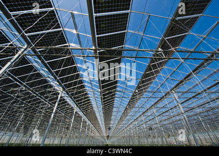 Solare fotovoltaico serra, Merlino Azienda Agricola San Maurizio, Merlino, provincia di Lodi, Italia Foto Stock