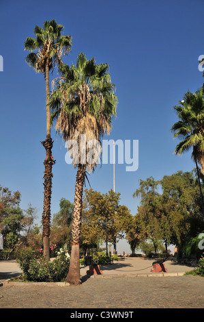 Blue sky ritratto di cannoni e palme in un punto di vista giardino, Cerro Santa Lucia, Santiago del Cile Foto Stock