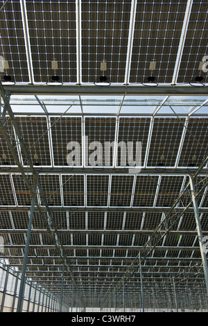 Solare fotovoltaico serra, Merlino Azienda Agricola San Maurizio, Merlino, provincia di Lodi, Italia Foto Stock