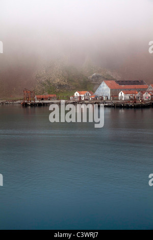 Le rovine della Stromness Stazione Baleniera nella nebbia, Isola Georgia del Sud Foto Stock