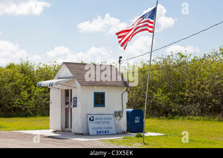 Ufficio postale di Ochopee, lungo l'autostrada 41, (Tamiami Trail) Florida, Stati Uniti. A quanto pare, il più piccolo ufficio di erba degli Stati Uniti. Foto Stock
