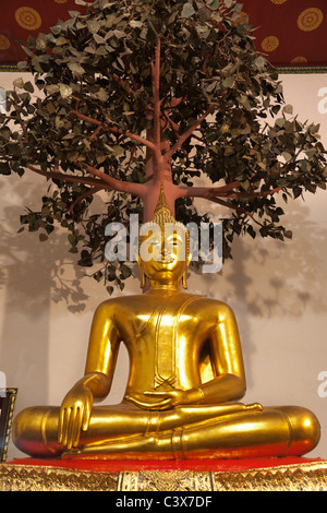 Wat Pho tempio, Bangkok - Budda seduto sotto il Bodhi tree 2 Foto Stock