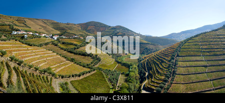 Il Portogallo, Casais do Douro Village, vicino a Pinhao. Vigneti della Valle del Douro, il vino di Porto distretto Foto Stock