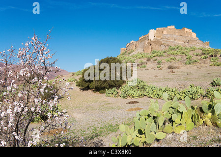 La spettacolare situati a Agadir (granaio fortificato) di Tizourgane nell'Anti-Atlas montagne, Marocco- Foto Stock