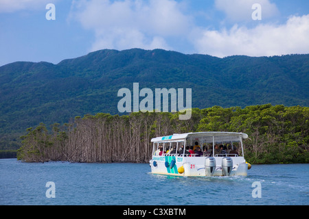 Tourboat al fiume Nakama Foto Stock