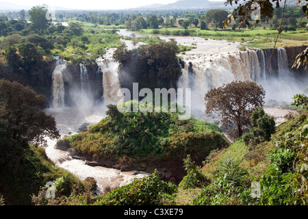 Il Nilo Blu cascate, Etiopia, Africa Foto Stock