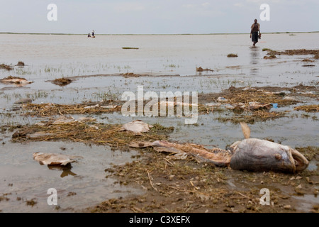 Boab villaggio sul lago Turkana, Etiopia, Africa Foto Stock