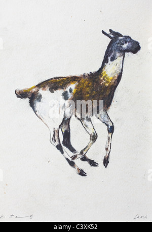 Llama (Lama glama) - acquerello su carta da Kurt Tessmann Foto Stock