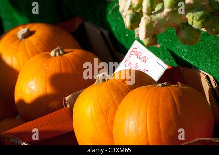 Zucche in inglese per la vendita su un mercato in stallo in una cittadina inglese. Foto Stock