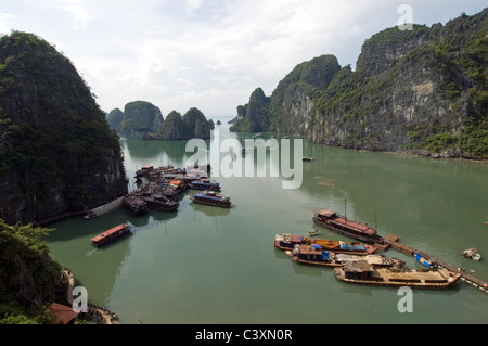 Vista da appendere Dau Go (Grotta dei paletti di legno) nella baia di Halong. Foto Stock