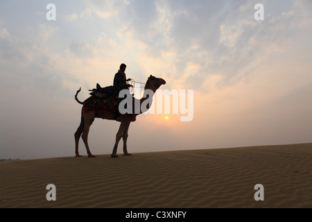 Silhouette di cammello nel deserto del Thar, Jaisalmer, Rajasthan, India Foto Stock