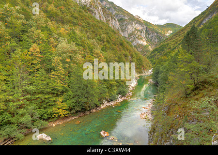 Fiume Tara con il suo bel verde acqua in trogolo Tara Verde Canyon sotto un ponte. Uno del mondo profondi canyon. Foto Stock