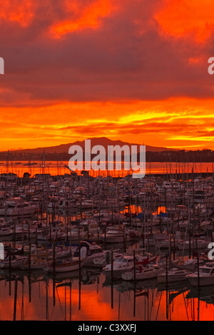 Sunrise over Westhaven Marina e Rangitoto Island, Auckland, Nuova Zelanda, Martedì 10 Maggio, 2011. Foto Stock