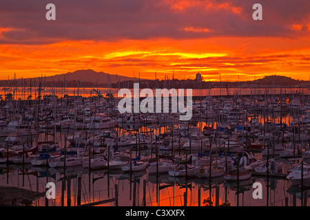 Sunrise over Westhaven Marina e Rangitoto Island, Auckland, Nuova Zelanda, Martedì 10 Maggio, 2011. Foto Stock