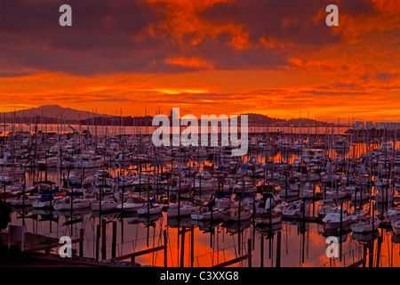 Sunrise over Westhaven Marina e Rangitoto Island, Auckland, Nuova Zelanda, Martedì 10 Maggio, 2011. Foto Stock