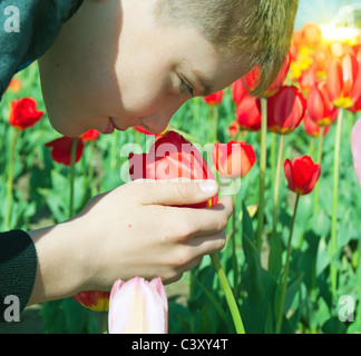 Dieci anni little boy maleodoranti red tulip fiore nel giardino di primavera. Foto Stock