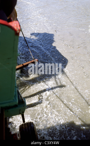 Wattwagen (carro trainato da cavalli) nel Nord tedesco velme (Wattenmeer) sul suo modo al Amburgo Isola di Neuwerk. Foto Stock