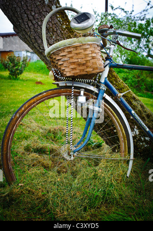 Vecchia bicicletta con i parafanghi, vimini Cesto picnic contro albero nel sud della Francia Foto Stock