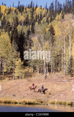 Crested Butte, Colorado. Due allevatori in marcia cowboy di corsa dei cavalli lungo il fiume con il cane . © Bob Kreisel Foto Stock