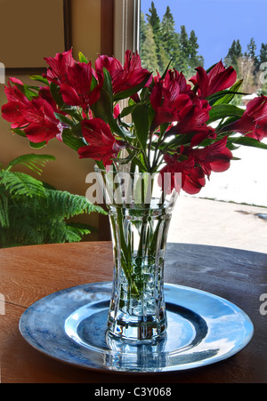 Questa borsa verticale immagine è un bouquet di giglio rosso fiori in un vaso di cristallo del vaso. Al di fuori della porta di vetro è un inverno nevoso. Foto Stock