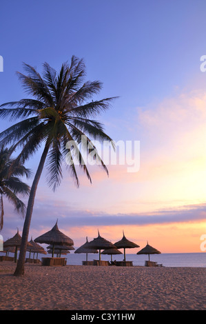 Paesaggio sulla spiaggia al tramonto Foto Stock