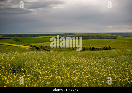 Harrow Hill dal South Downs Way, West Sussex, Regno Unito Foto Stock