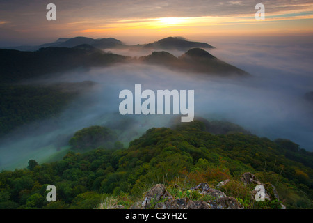 Guarda, dalla Wasserfluh, Svizzera Canton Argovia, punto di vista, hill, legno, foresta, nebbia, Atmosfera mattutina, sunrise Foto Stock