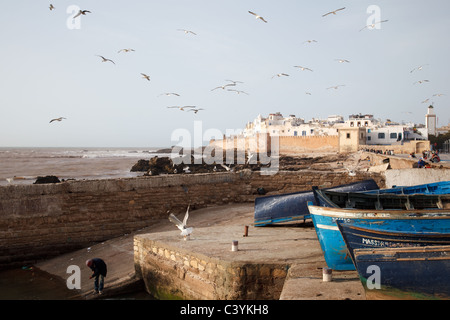 Gabbiani e le mura della vecchia città di Essaouira, Marocco sulla costa atlantica. Foto Stock