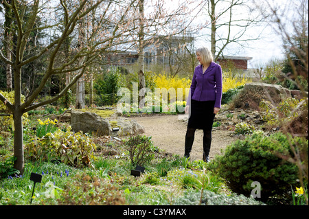 Giardino alpino giardino società Worcestershire fu fondata 1929. La carità è stata avviata al fine di promuovere gli interessi di piante alpine Foto Stock