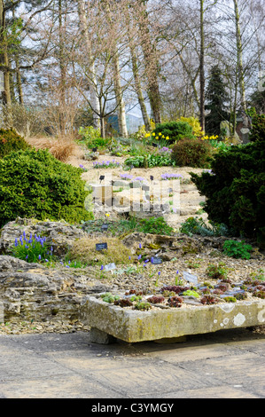 Giardino alpino giardino società Worcestershire fu fondata 1929. La carità è stata avviata al fine di promuovere gli interessi di piante alpine Foto Stock