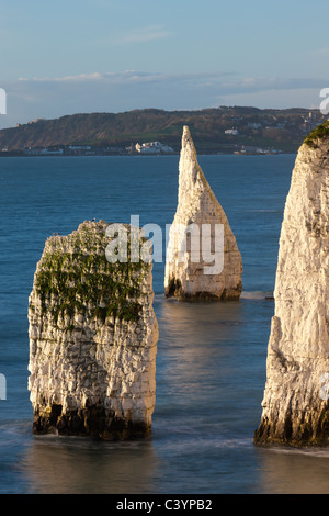 Parson's Barn e i Pinnacoli dal punto Handfast, Jurrasic Costa, Dorset, Inghilterra. Inverno (febbraio) 2011. Foto Stock