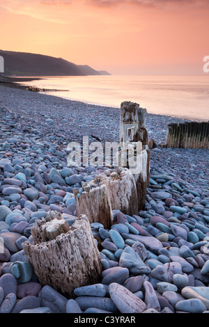 Legno stagionato groyne Bossington sulla spiaggia al tramonto, Parco Nazionale di Exmoor, Somerset, Inghilterra. Molla (Marzo) 2011. Foto Stock