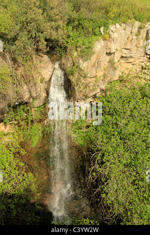 Alture del Golan, Ayit cascata in Yehudiya riserva naturale Foto Stock