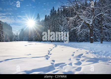 In inverno la neve e il paesaggio dei Monti Tatra, Polonia Foto Stock