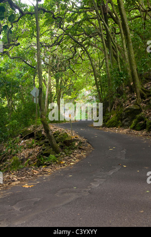 Stretta strada attraverso la giungla, passato Maui, Hawaii Foto Stock