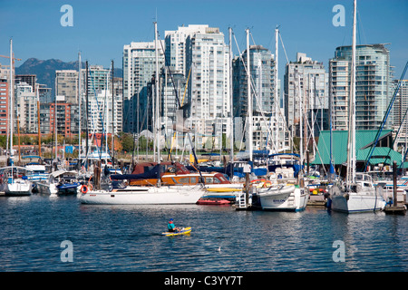 Seagull vola nella parte anteriore di barche nel porto di Yaletown torri dietro, Vancouver, BC Foto Stock