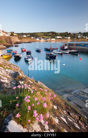 La mattina presto del porto in scena il pittoresco villaggio di pescatori di Coverack, sud della Cornovaglia, Inghilterra. Molla (maggio) 2011. Foto Stock