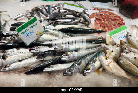 Sgombri freschi e orata in Vendita in La Boqueria il mercato pubblico, La Rambla (Las Ramblas, Barcelona, Catalunya, Spagna Foto Stock