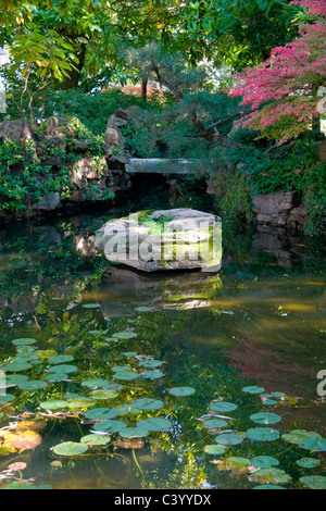 Coperte di muschio rock nel laghetto in giardino asiatico. Il dott. Sun Yat-Sen Park, Chinatown di Vancouver Foto Stock