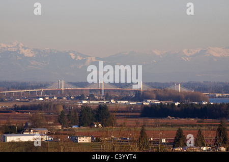 Nuovo Golden Ears Bridge 2009 oltre il fiume Fraser tra Maple Ridge e Langley, BC. Foto Stock