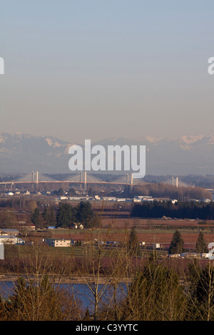 Nuovo Golden Ears Bridge 2009 oltre il fiume Fraser tra Maple Ridge e Langley, BC. Foto Stock