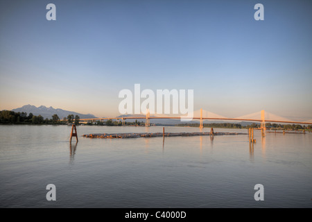 Nuovo Golden Ears Bridge 2009 oltre il fiume Fraser tra Maple Ridge e Langley, BC. Foto Stock