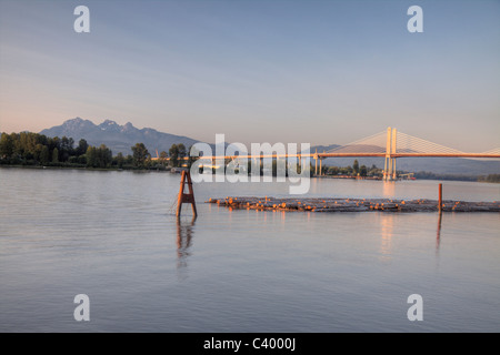 Nuovo Golden Ears Bridge 2009 oltre il fiume Fraser tra Maple Ridge e Langley, BC. Foto Stock