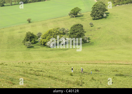 Guardando verso il basso su terreno coltivato dall alto di Cissbury Ring nel South Downs National Park. Foto Stock