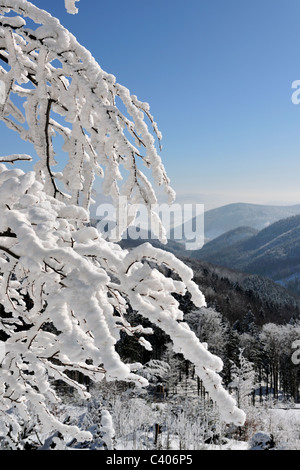 Montagna, sudety, Slesia, blu, natale, clima freddo, raffreddare, campagna, coperchio, giorno, foresta, fresche, gelo, congelate, Foto Stock