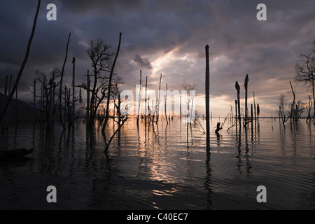 Sunrise a Saltlake lago Enriquillo, Isla Cabritos National Park, Repubblica Dominicana Foto Stock