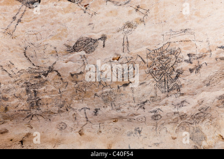 Precolombiana pitture rupestri dentro la linea di grotte di calcare, Parco Nazionale Los Haitises, Repubblica Dominicana Foto Stock