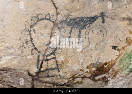 Precolombiana pitture rupestri dentro la linea di grotte di calcare, Parco Nazionale Los Haitises, Repubblica Dominicana Foto Stock