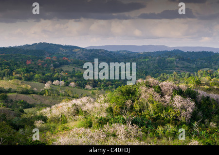 Colline dell'entroterra, Punta Rucia, Repubblica Dominicana Foto Stock